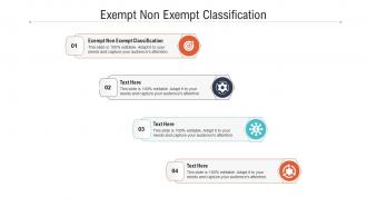 Exempt non exempt classification ppt powerpoint presentation show design ideas cpb