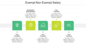 Exempt non exempt salary ppt powerpoint presentation styles slide download cpb