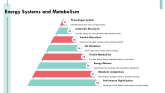 Exercise Physiology Testing And Improving Human Performance PPT Presentation AT Best Impressive