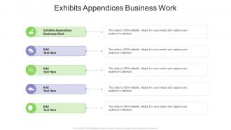 Exhibits Appendices Business Work In Powerpoint And Google Slides Cpb