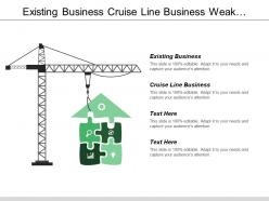 Existing business cruise line business weak performance business line