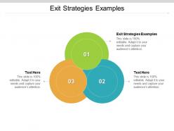 Exit strategies examples ppt powerpoint presentation gallery graphics cpb