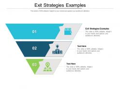 Exit strategies examples ppt powerpoint presentation inspiration layout cpb