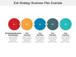 Exit strategy business plan example ppt powerpoint presentation outline ideas cpb