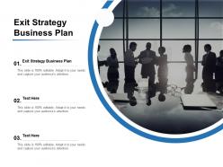 Exit strategy business plan ppt powerpoint presentation background designs cpb