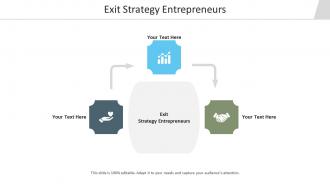 Exit strategy entrepreneurs ppt powerpoint presentation infographic template ideas cpb
