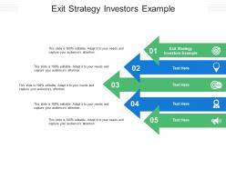 Exit strategy investors example ppt powerpoint presentation gallery skills cpb