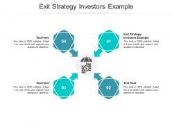 Exit strategy investors example ppt powerpoint presentation slides graphics cpb