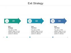 Exit strategy ppt powerpoint presentation gallery example cpb