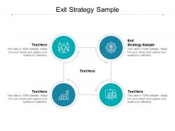 Exit strategy sample ppt powerpoint presentation file guide cpb