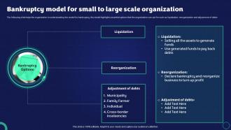 Exit Strategy Strategic Plan Bankruptcy Model For Small To Large Scale Organization