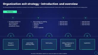 Exit Strategy Strategic Plan Organization Exit Strategy Introduction And Overview