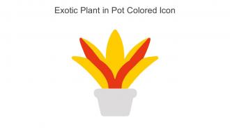 Exotic Plant In Pot Colored Icon In Powerpoint Pptx Png And Editable Eps Format