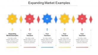 Expanding Market Examples Ppt Powerpoint Presentation Show Design Templates Cpb