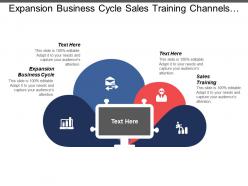 Expansion business cycle sales training channels distribution automation control