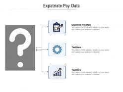 Expatriate pay data ppt powerpoint presentation slides infographics cpb