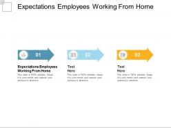 Expectations employees working from home ppt powerpoint presentation outline example cpb