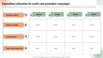 Expenditure Allocation For Credit Card Execution Of Targeted Credit Card Promotional Strategy SS V