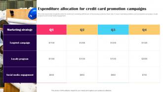 Expenditure Allocation For Credit Card Promotion Strategies To Advertise Credit Strategy SS V