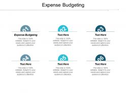Expense budgeting ppt powerpoint presentation portfolio infographic template cpb