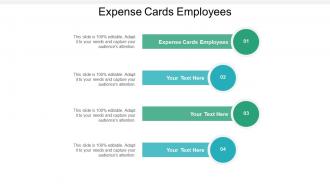 Expense cards employees ppt powerpoint presentation file design ideas cpb