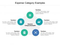 Expense category examples ppt powerpoint presentation portfolio file formats cpb