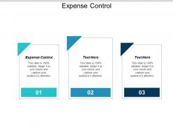 Expense control ppt powerpoint presentation gallery templates cpb