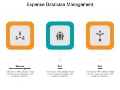 Expense database management ppt powerpoint presentation file graphics cpb