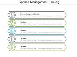 Expense management banking ppt powerpoint presentation ideas background cpb