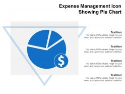 Expense management icon showing pie chart