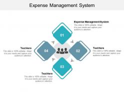 Expense management system ppt powerpoint presentation professional graphics cpb