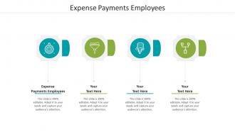 Expense payments employees ppt powerpoint presentation file graphics download cpb
