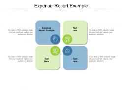 Expense report example ppt powerpoint presentation infographic template clipart images cpb