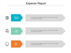 Expense report ppt powerpoint presentation professional ideas cpb