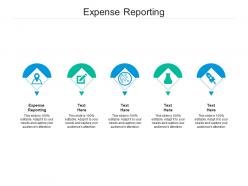 Expense reporting ppt powerpoint presentation outline good cpb