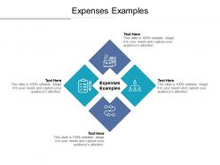 Expenses examples ppt powerpoint presentation professional slide download cpb