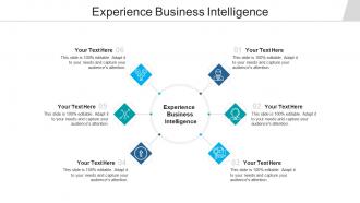 Experience business intelligence ppt powerpoint presentation gallery ideas cpb