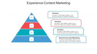 Experience content marketing ppt powerpoint presentation pictures brochure cpb