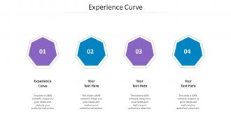 Experience Curve Ppt Powerpoint Presentation Styles Background Images Cpb