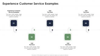 Experience Customer Service Examples In Powerpoint And Google Slides Cpb