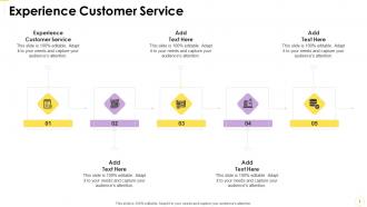 Experience Customer Service In Powerpoint And Google Slides Cpb