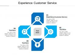 Experience customer service ppt powerpoint presentation pictures samples cpb