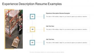 Experience Description Resume Examples In Powerpoint And Google Slides Cpb