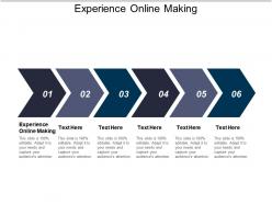 Experience online making ppt powerpoint presentation ideas samples cpb
