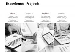 Experience Projects Agenda D165 Ppt Powerpoint Presentation File Portrait