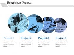 Experience projects ppt file guidelines