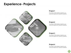Experience Projects Technology Ppt Powerpoint Presentation Pictures Visual Aids