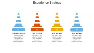 Experience strategy ppt powerpoint presentation ideas brochure cpb