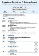 Experience technician it resume report presentation report infographic ppt pdf document