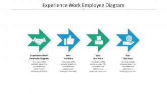 Experience work employee diagram ppt powerpoint presentation model cpb